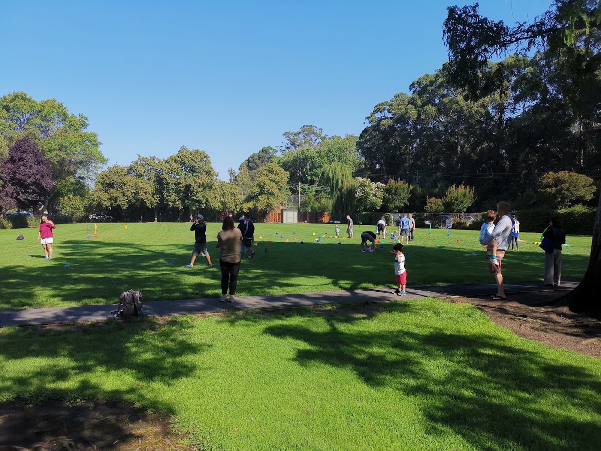 Village Park photo 3