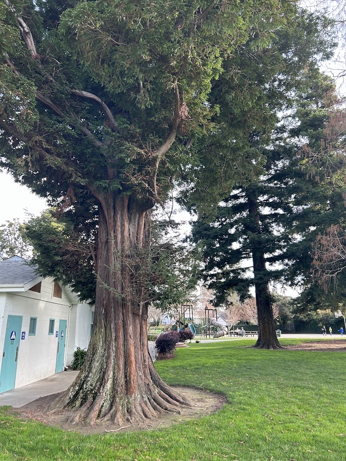 Village Park photo 6