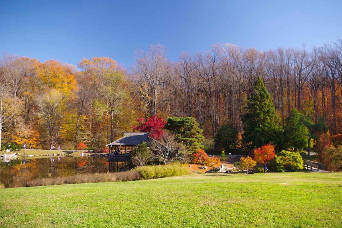 Brookside Gardens photo 6
