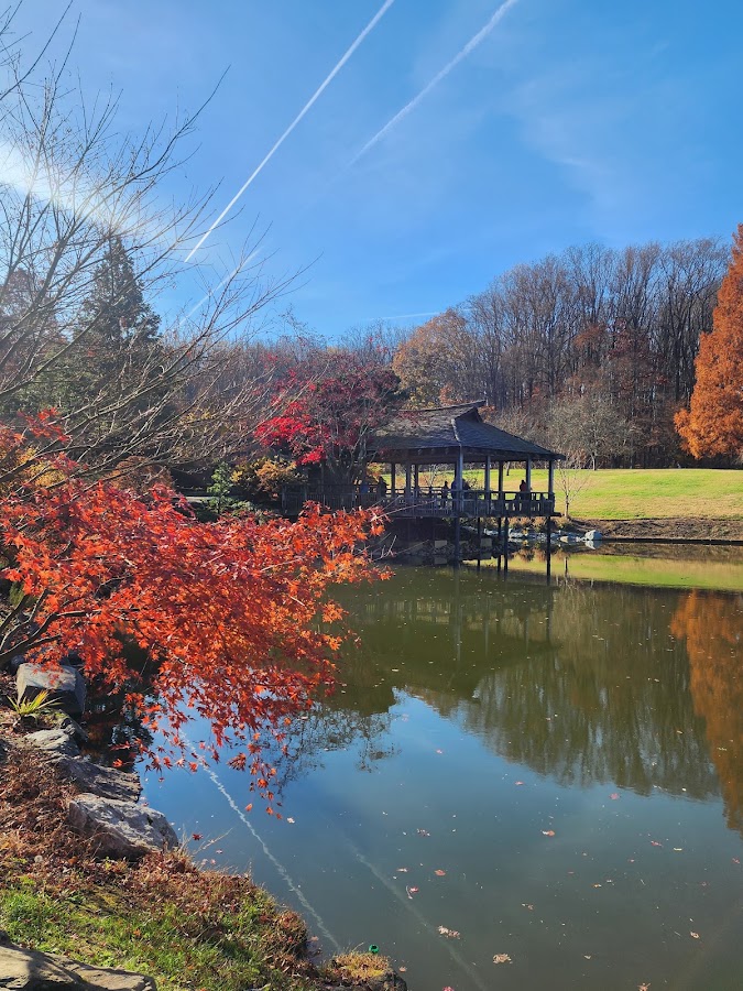 Brookside Gardens photo 8