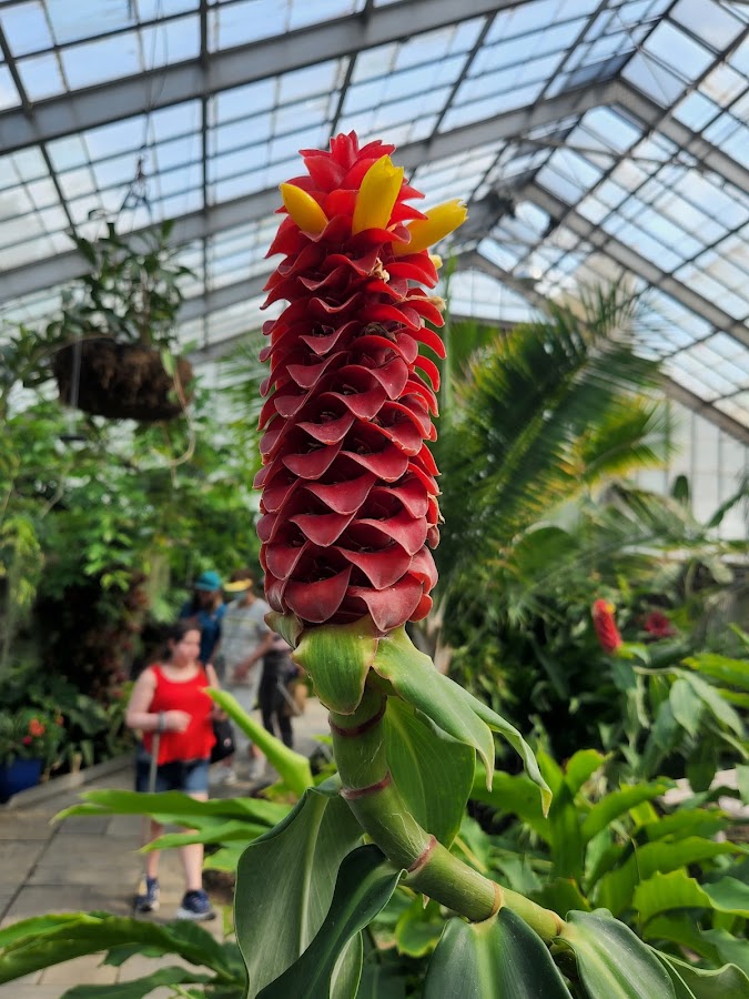 Brookside Gardens photo 9