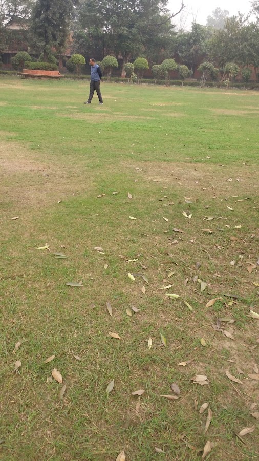 Mahila Park photo 4