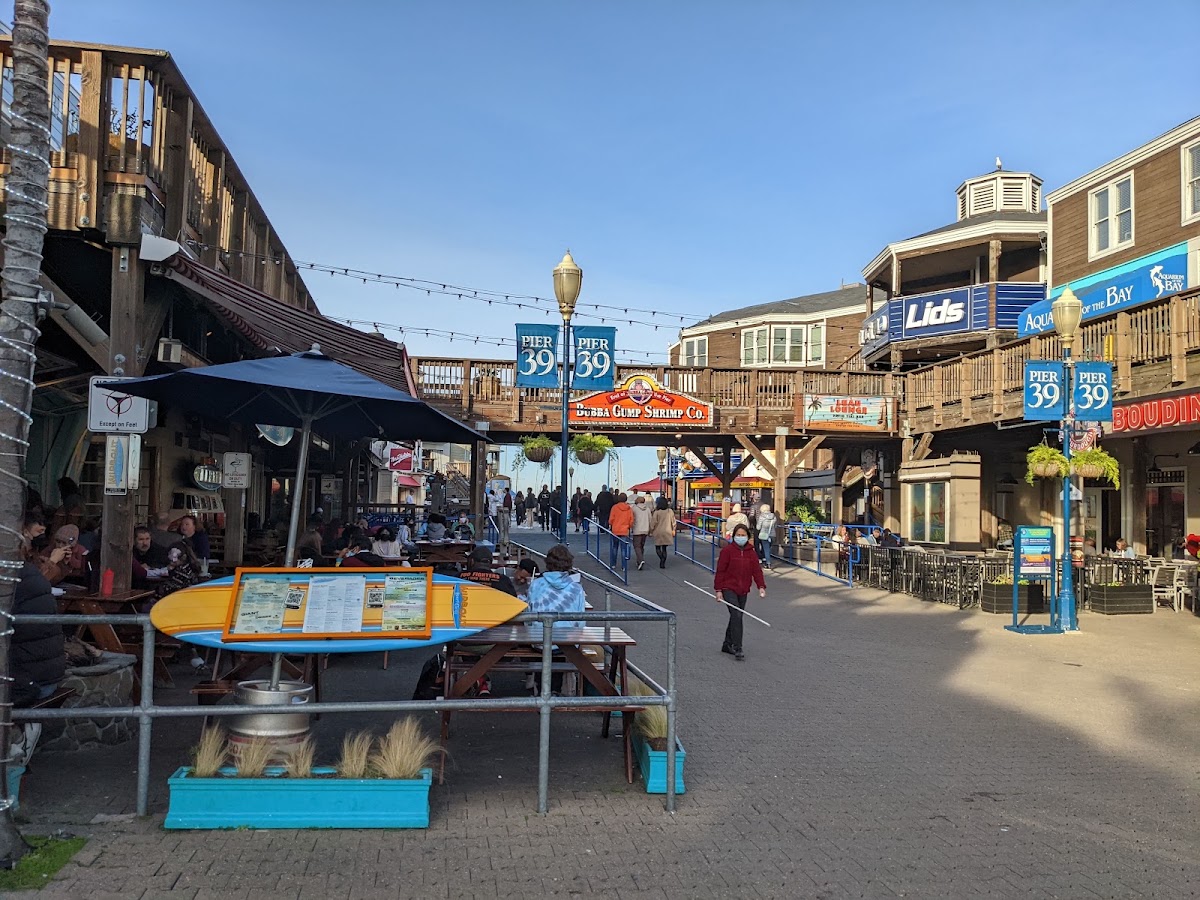 PIER 39 photo 8