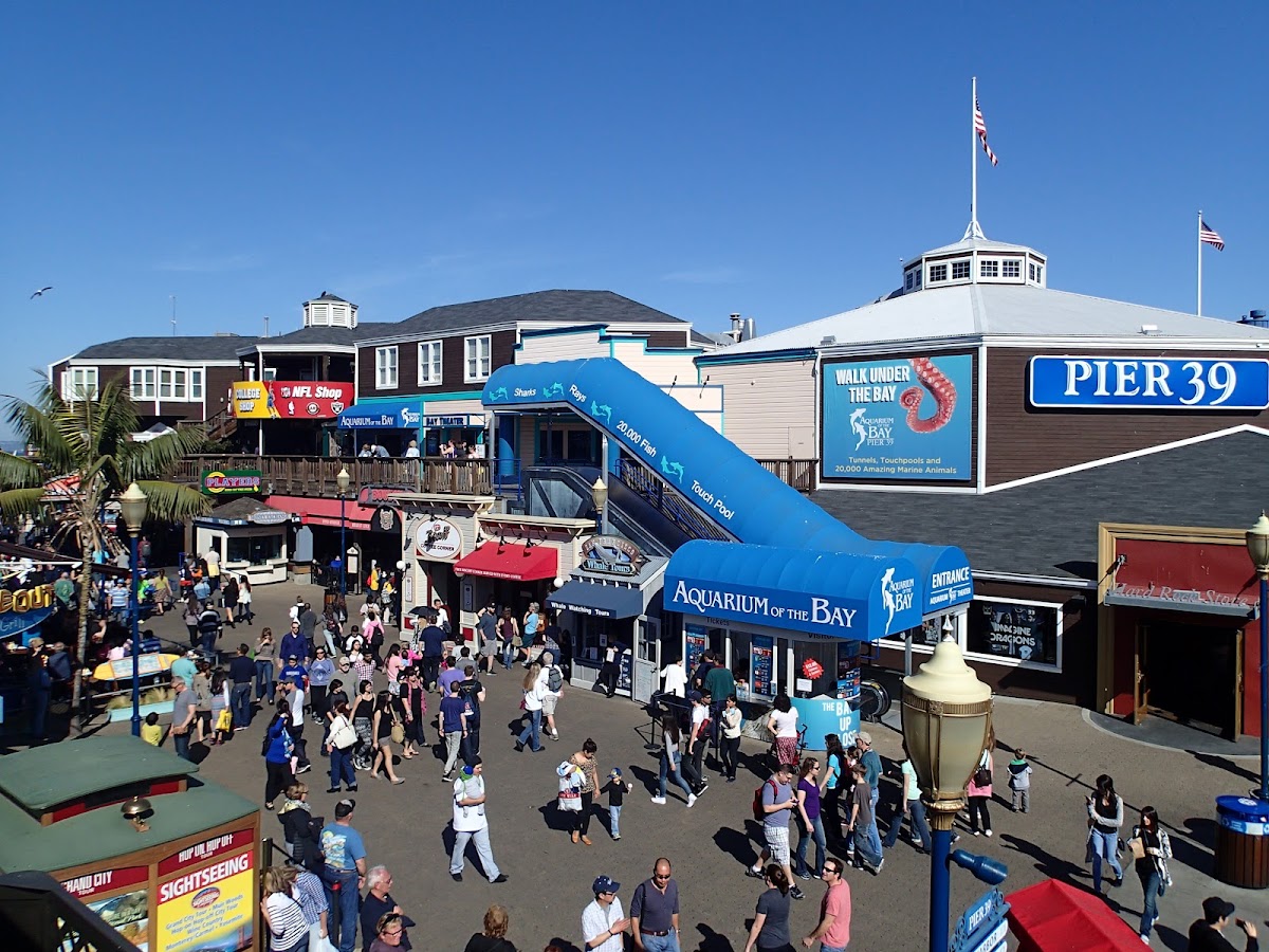 PIER 39 photo 9