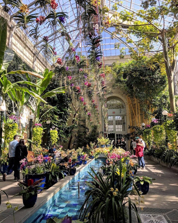 United States Botanic Garden photo 2
