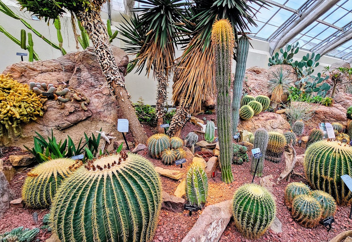 United States Botanic Garden photo 3