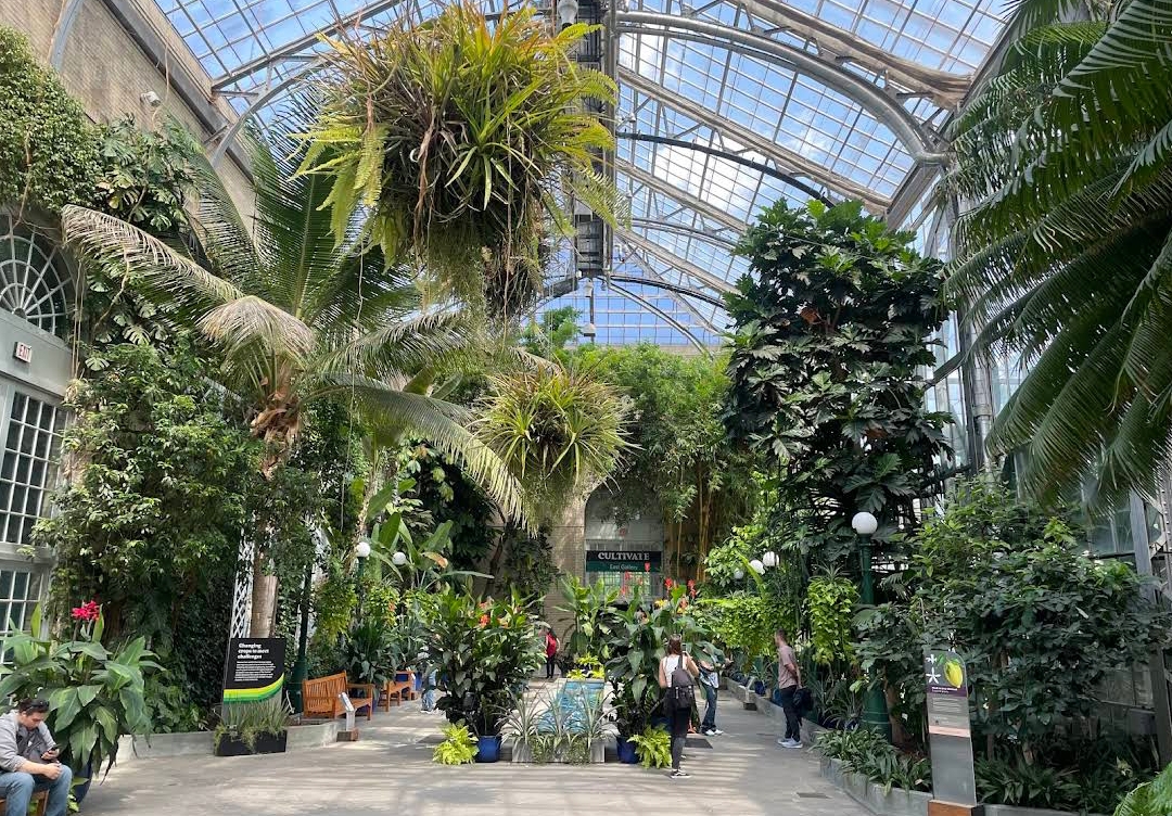 United States Botanic Garden photo 6