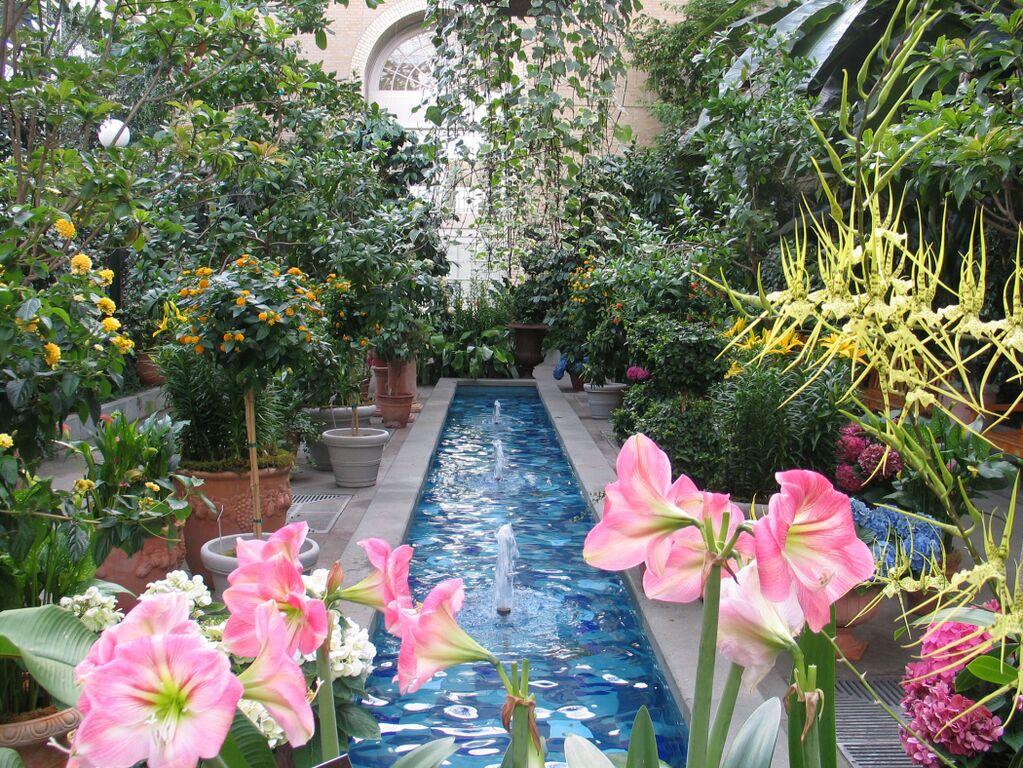 United States Botanic Garden photo 8