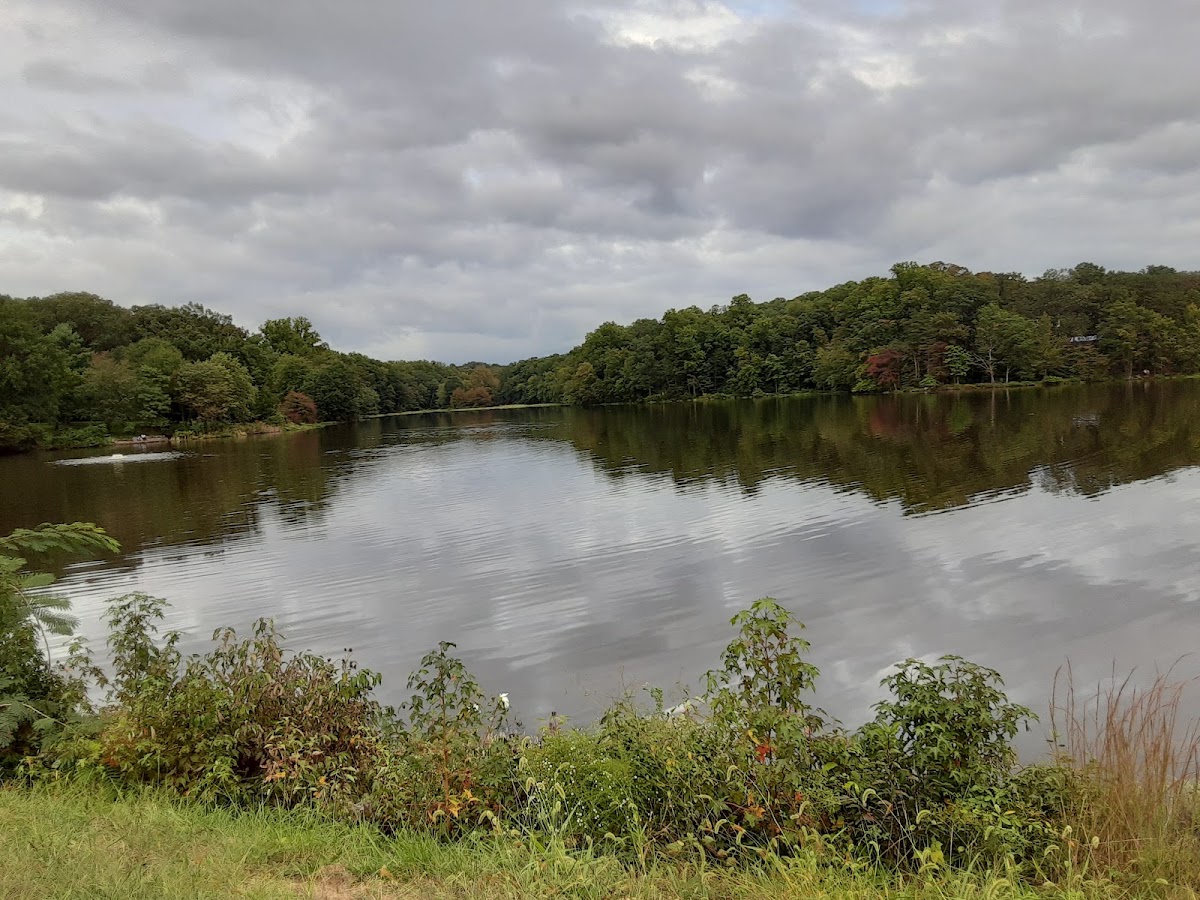 Buddy Attick Lake Park photo 3