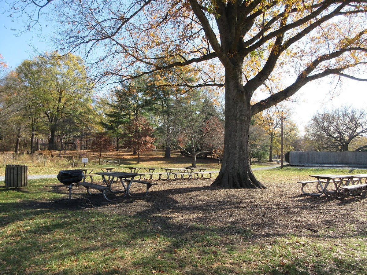 Buddy Attick Lake Park photo 9
