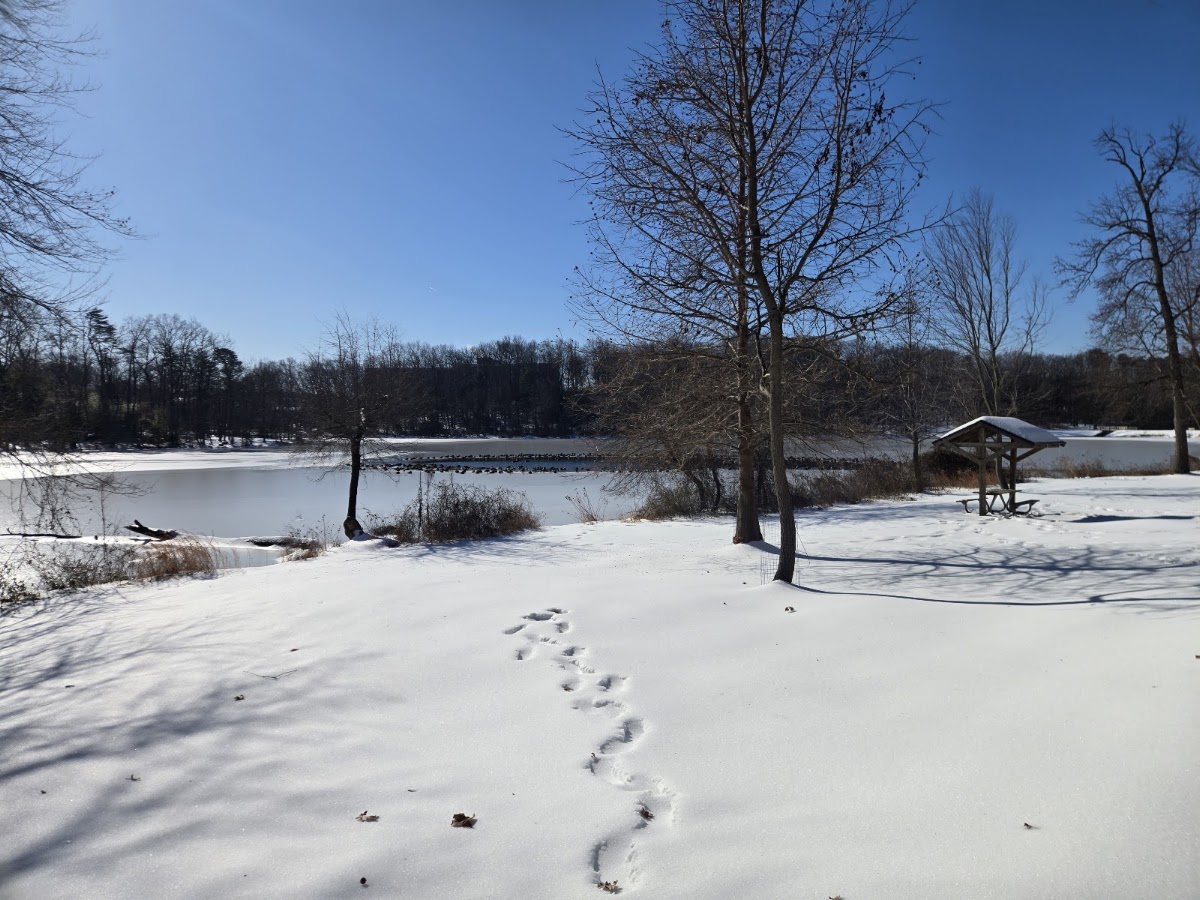 Buddy Attick Lake Park photo 10