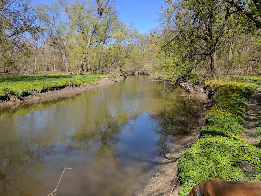 Forest Glen Woods photo 3