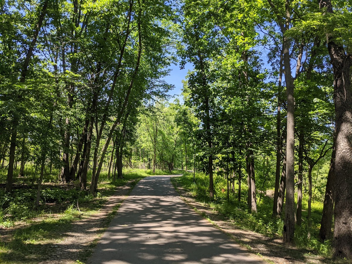 Forest Glen Woods photo 5