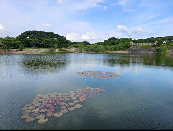 Lalbagh Botanical Garden photo 6