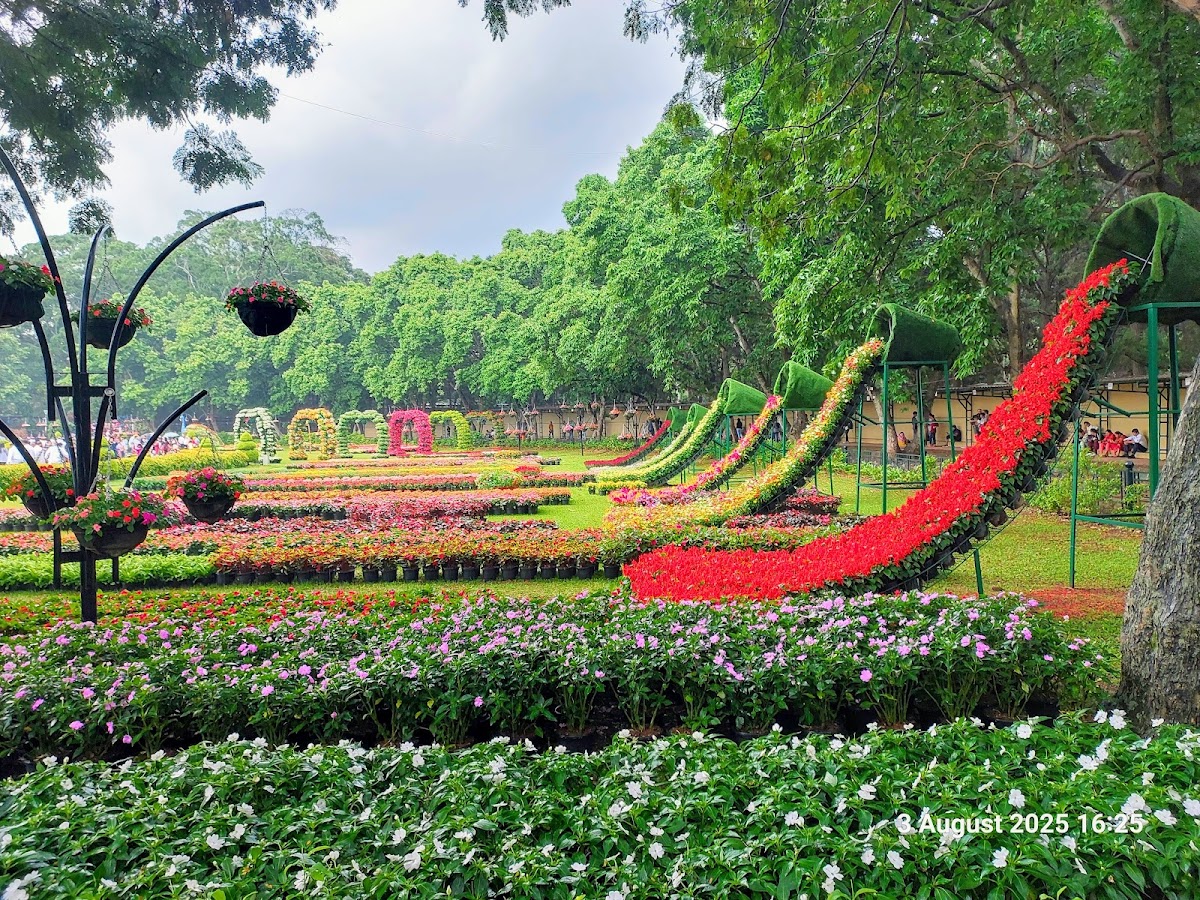 Lalbagh Botanical Garden photo 7