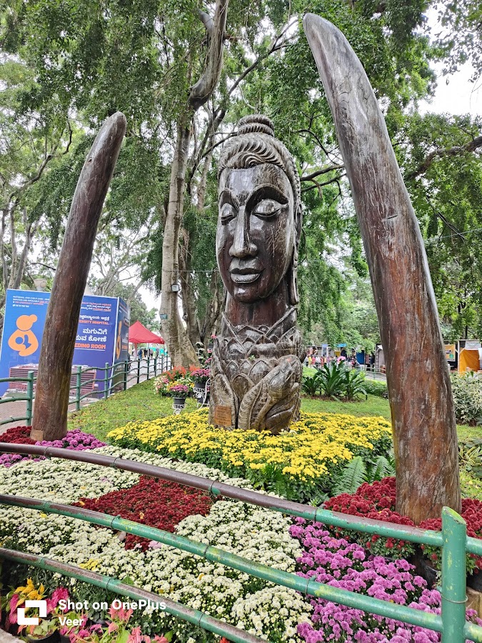Lalbagh Botanical Garden photo 9
