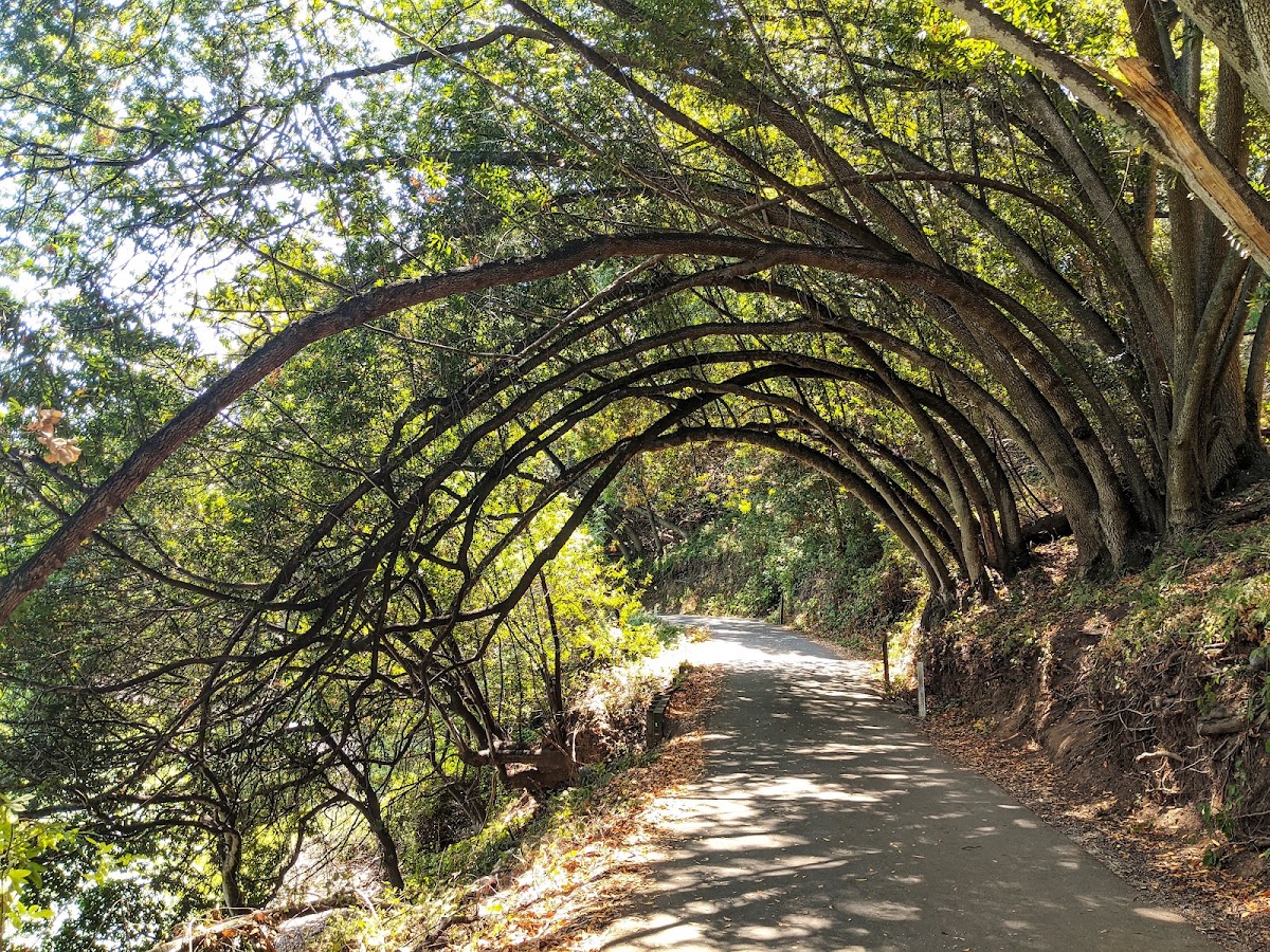 Chabot Park photo 4