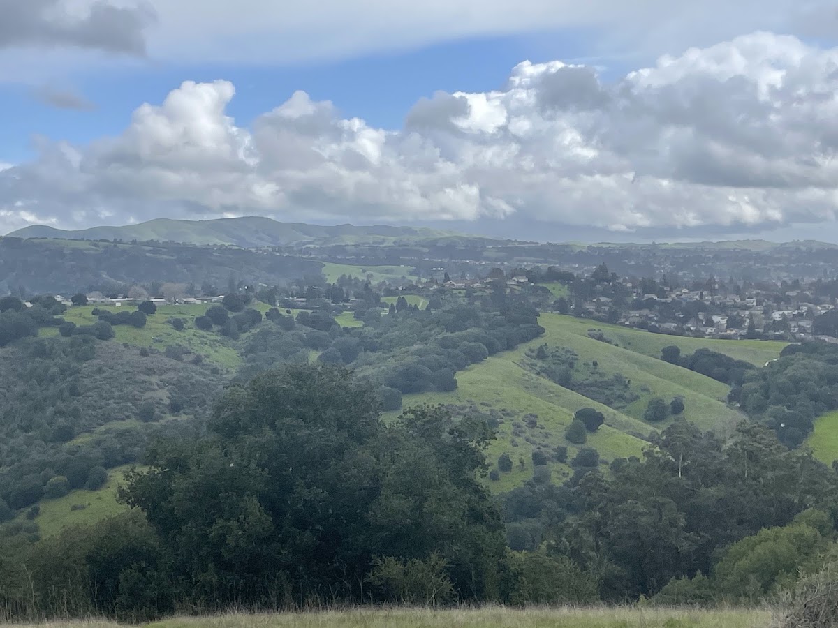 Chabot Park photo 5