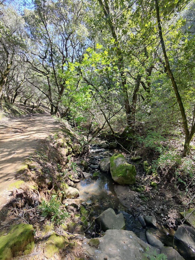 Chabot Park photo 6
