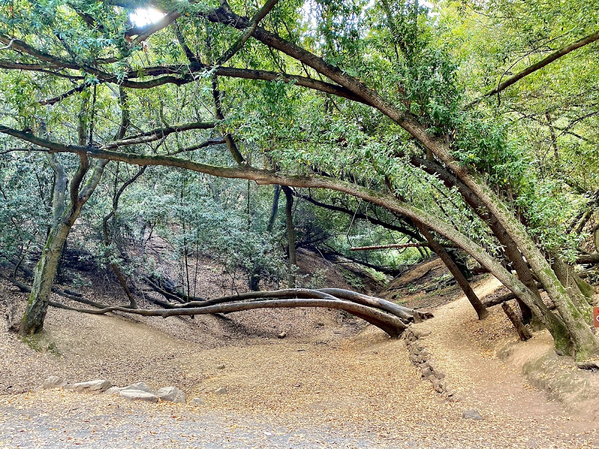 Chabot Park photo 7