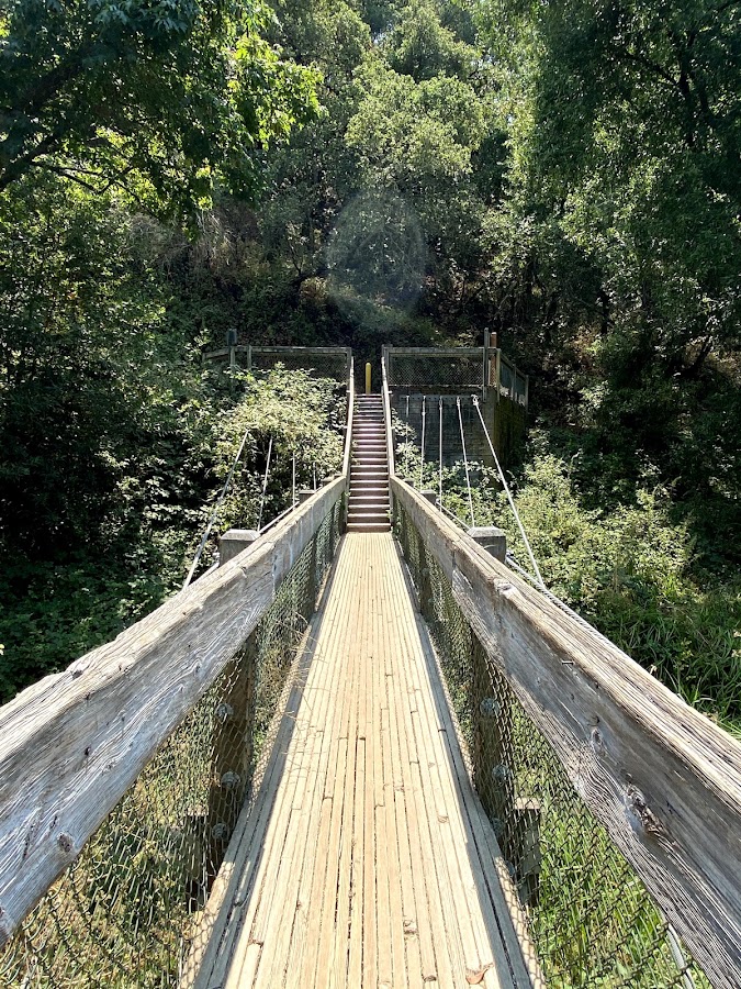 Chabot Park photo 8