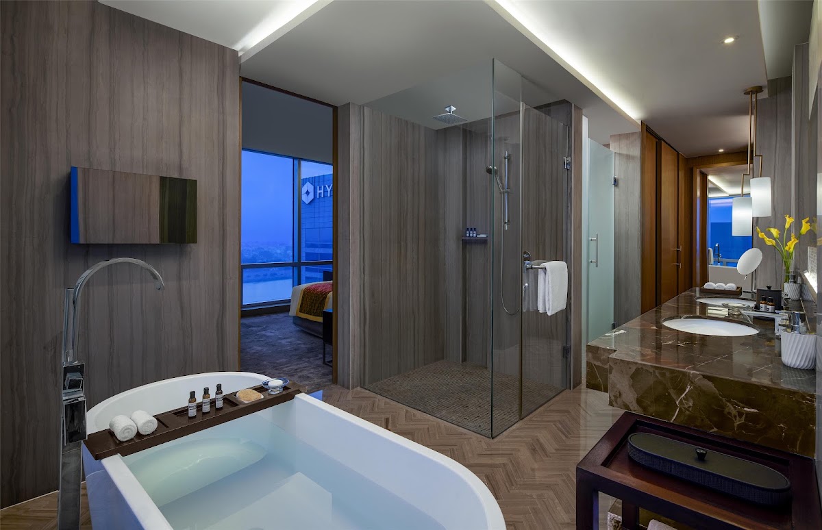 Hyatt Regency Ahmedabad photo 4