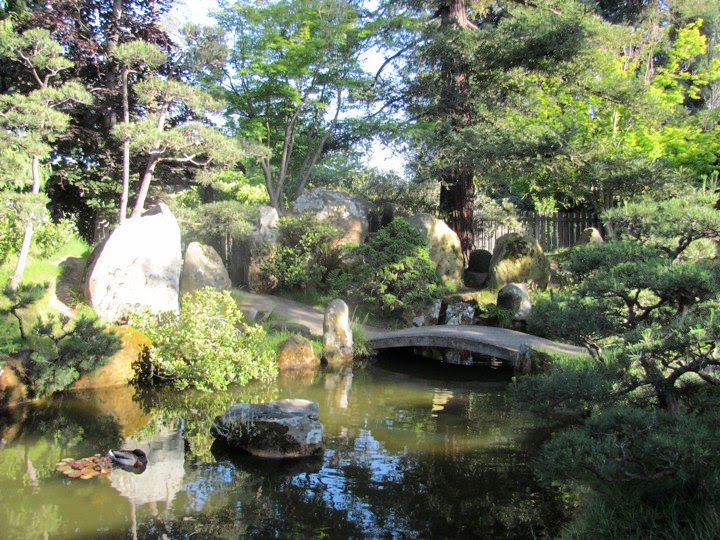 The Gardens at Lake Merritt photo 2