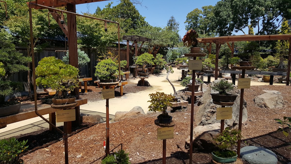The Gardens at Lake Merritt photo 3