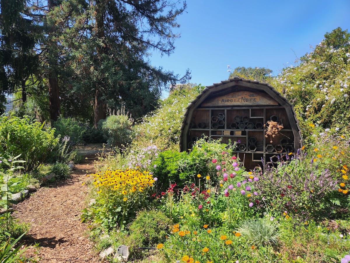 The Gardens at Lake Merritt photo 6