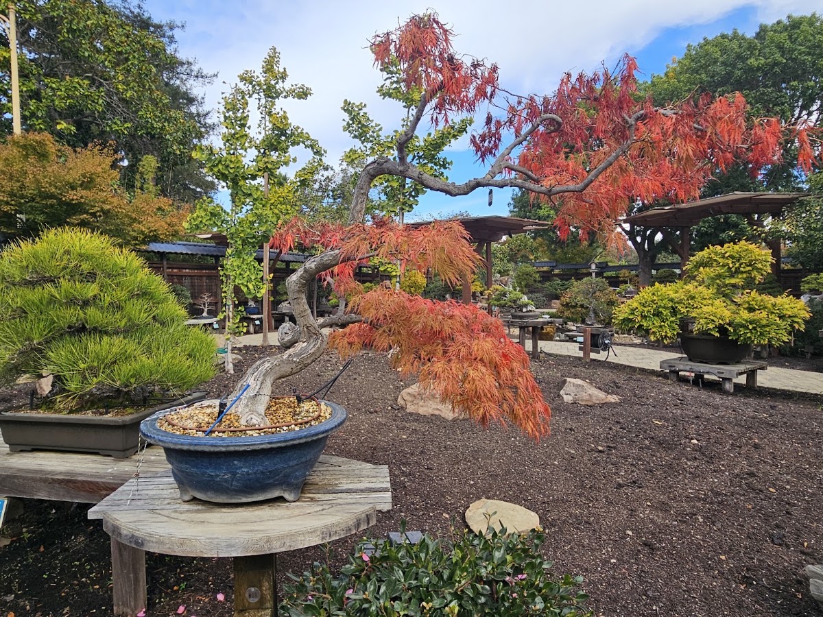 The Gardens at Lake Merritt photo 7