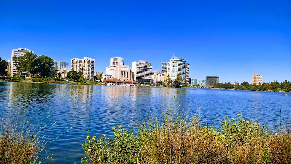 The Gardens at Lake Merritt photo 8