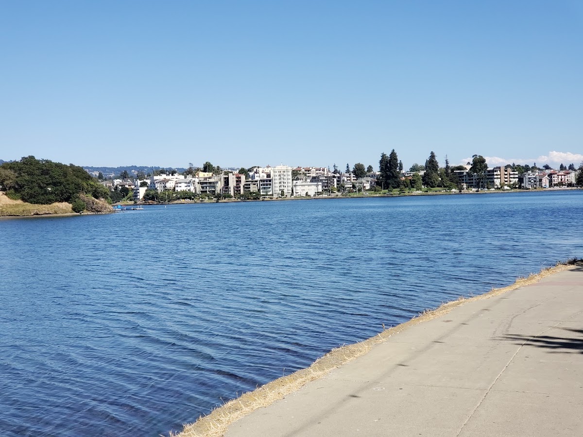 The Gardens at Lake Merritt photo 9