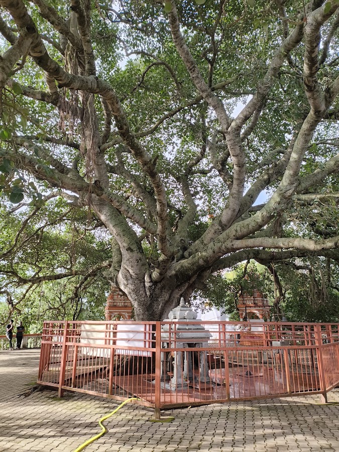 Omkara Ashrama Mahasamsthana photo 4