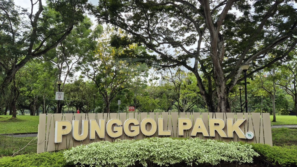 Punggol Park photo 2