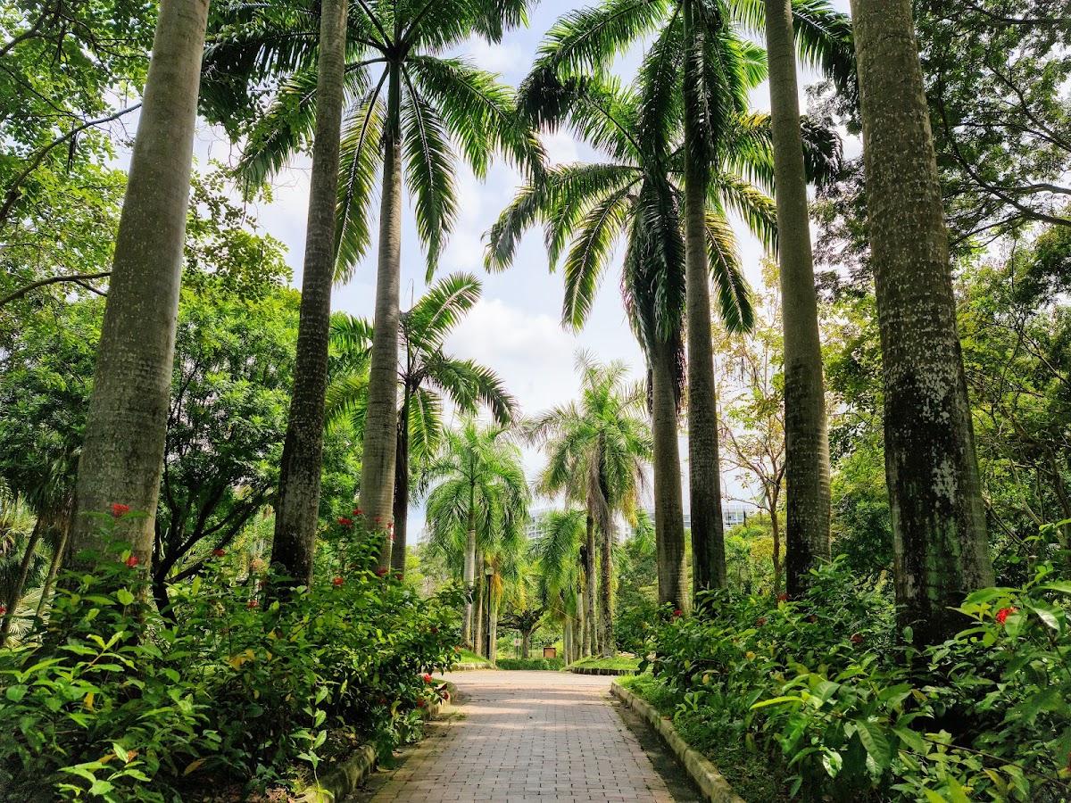 Punggol Park photo 8