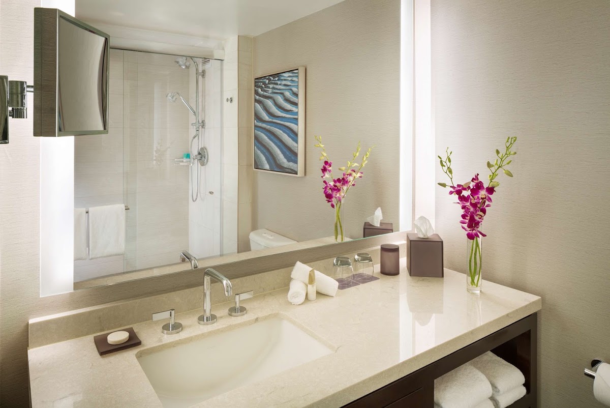 Hyatt Regency San Francisco Airport photo 4