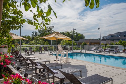 Courtyard by Marriott Bethesda Chevy Chase photo 3