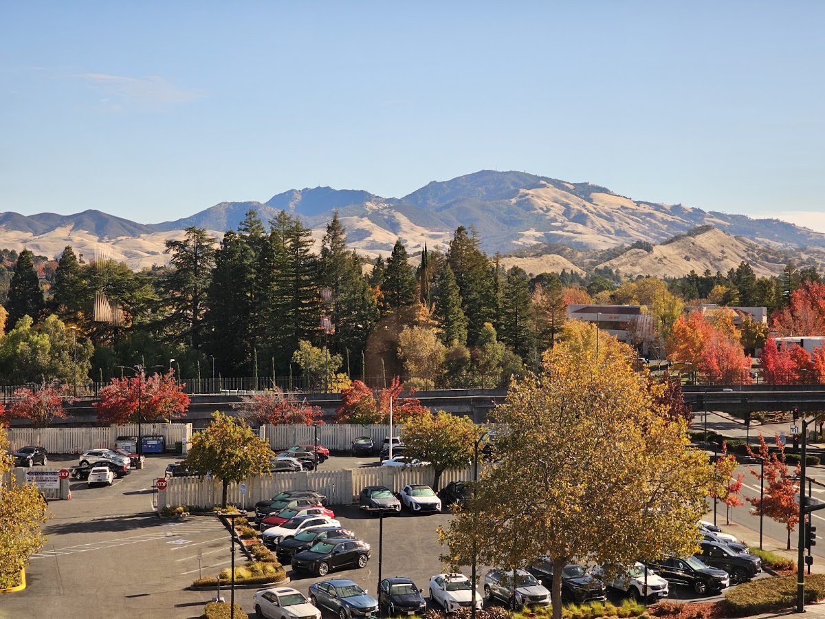 Walnut Creek Marriott photo 8