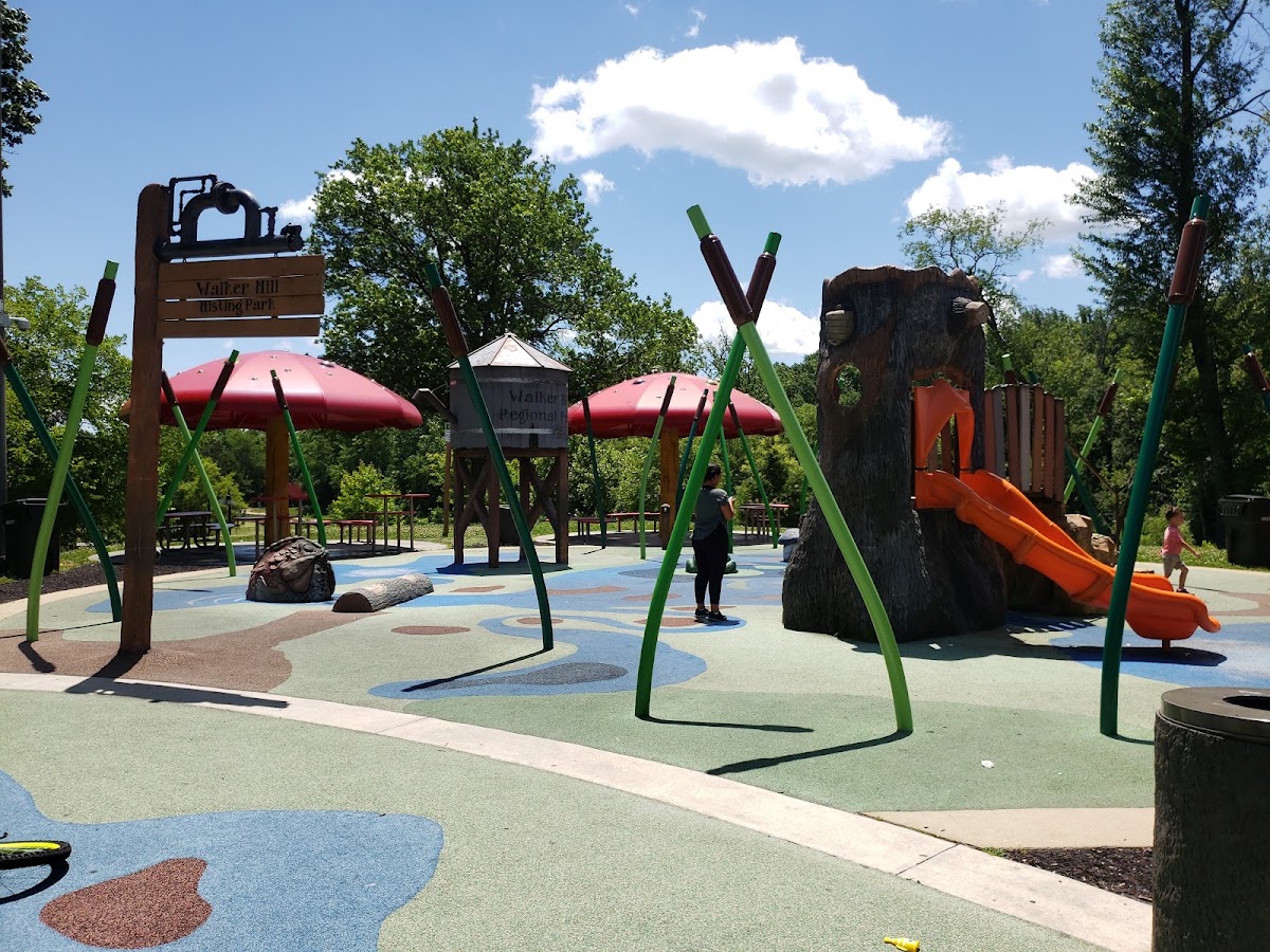 Walker Mill Regional Park photo 6