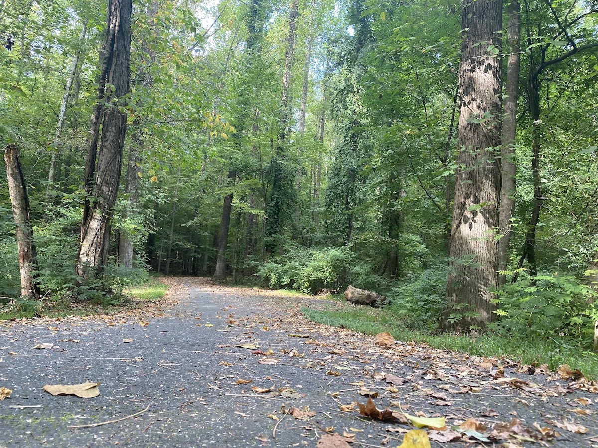 Walker Mill Regional Park photo 7