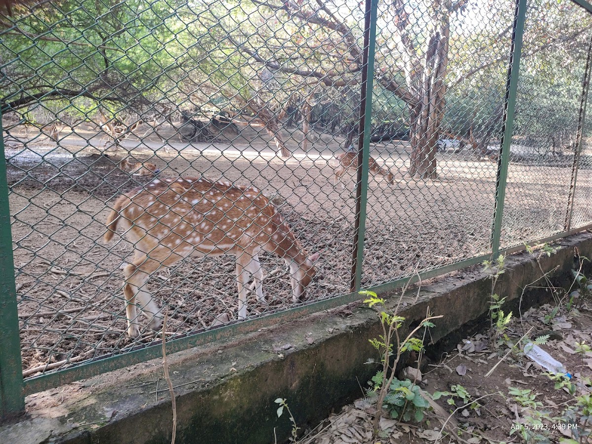 Hauz Khas District Park photo 7