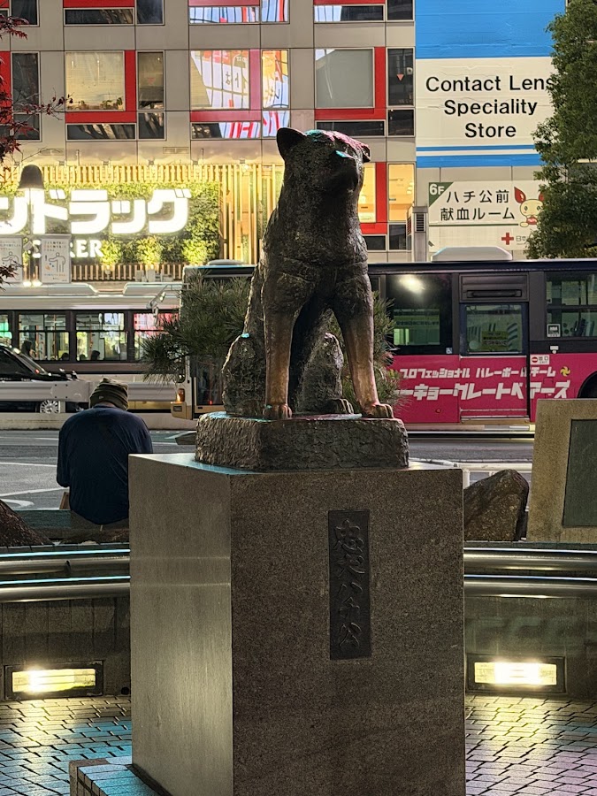 Shibuya Scramble Crossing photo 3