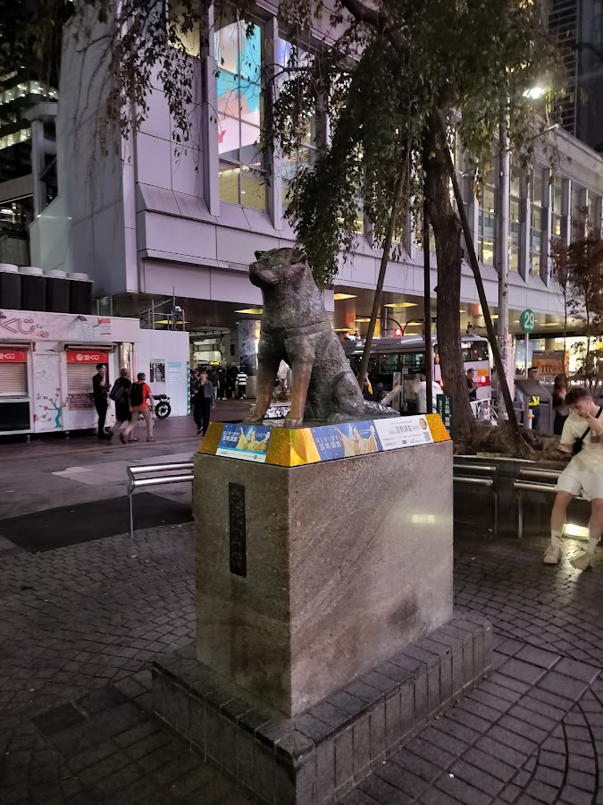 Shibuya Scramble Crossing photo 4