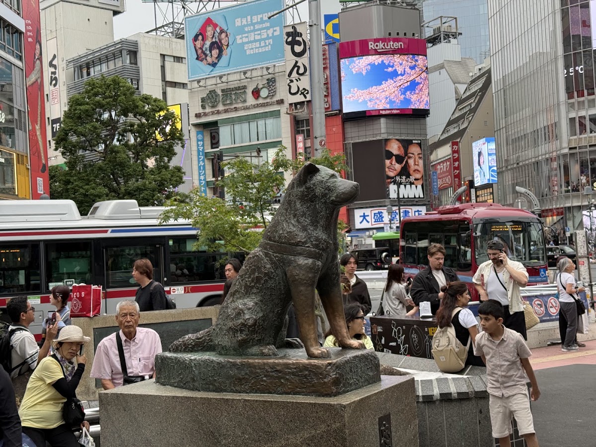 Shibuya Scramble Crossing photo 5