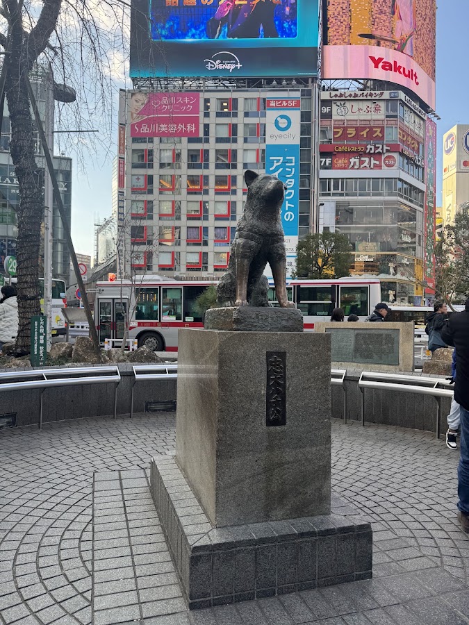 Shibuya Scramble Crossing photo 7