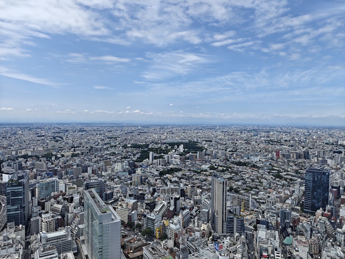 Shibuya Scramble Crossing photo 8