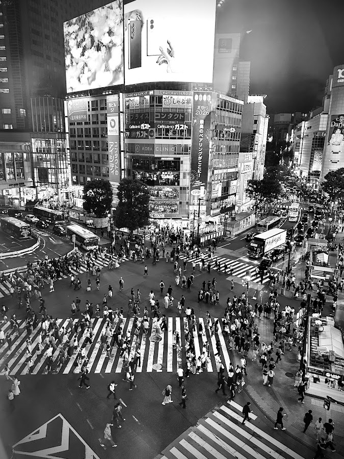Shibuya Scramble Crossing photo 9