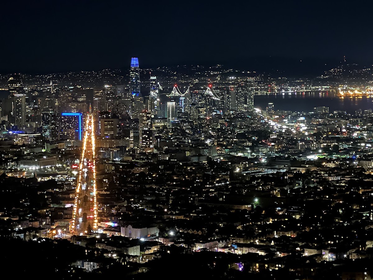 Twin Peaks Christmas Tree Point photo 2