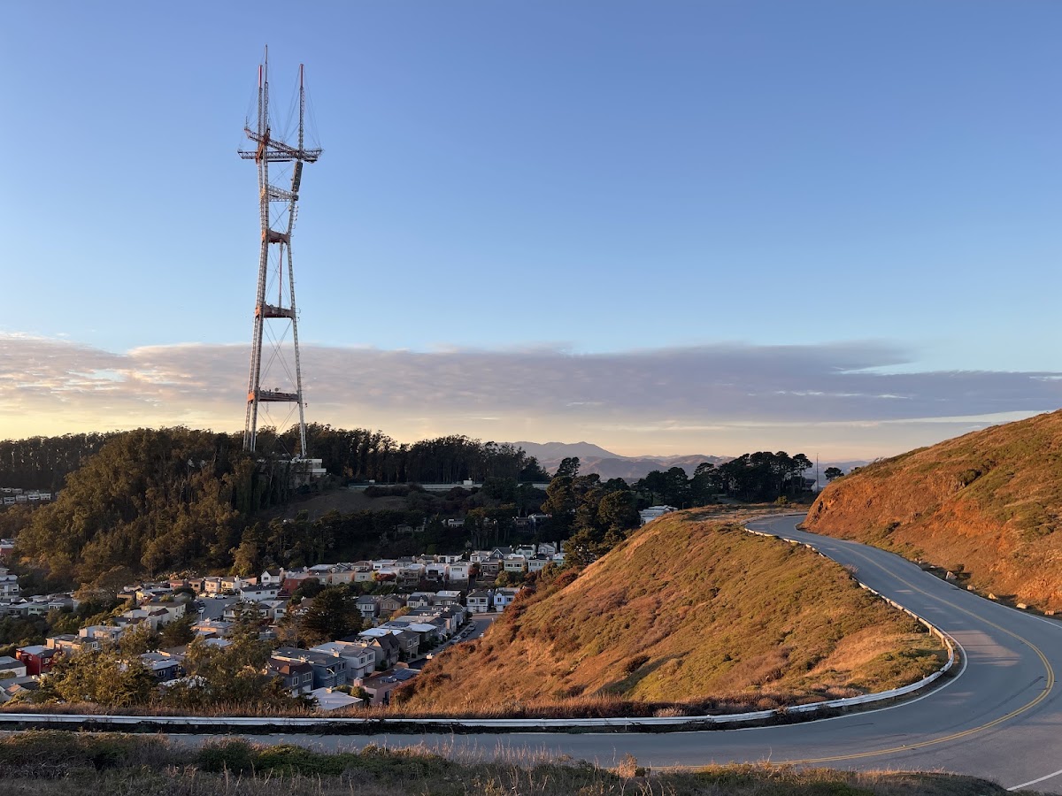 Twin Peaks Christmas Tree Point photo 3
