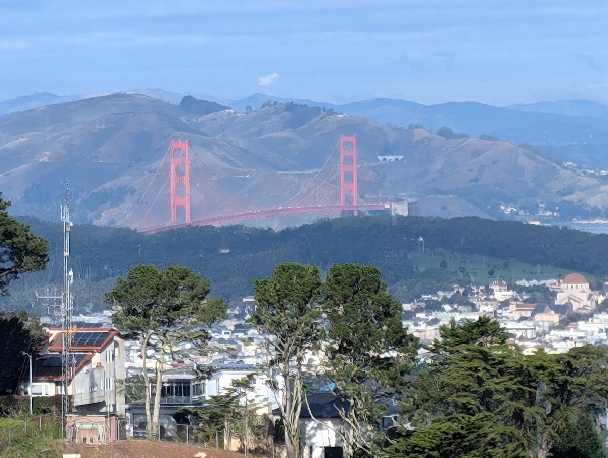 Twin Peaks Christmas Tree Point photo 4